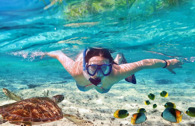 Parco Nazionale Marino di Ang Thong - Foto 1