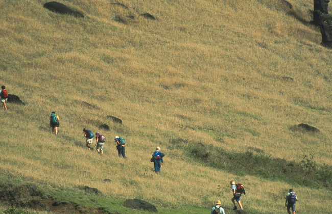 Anakena e Rano Raraku - Tour de Dia Inteiro - Foto 5