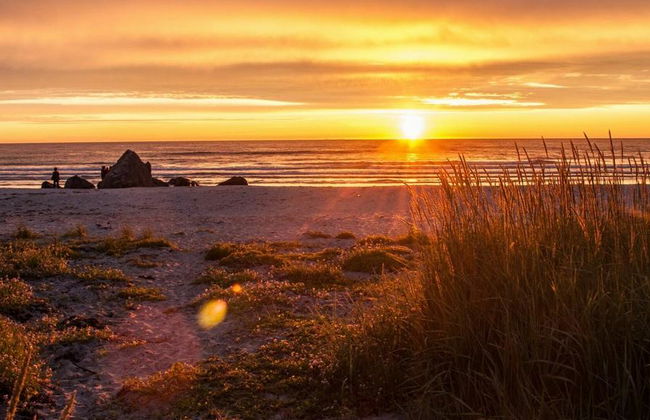 Summer North Lofoten Highlights Photo Tour - Full-Day Small Group Tour - Foto 3