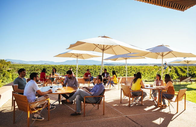 Visita a las Bodegas Campo Viejo - Foto 2