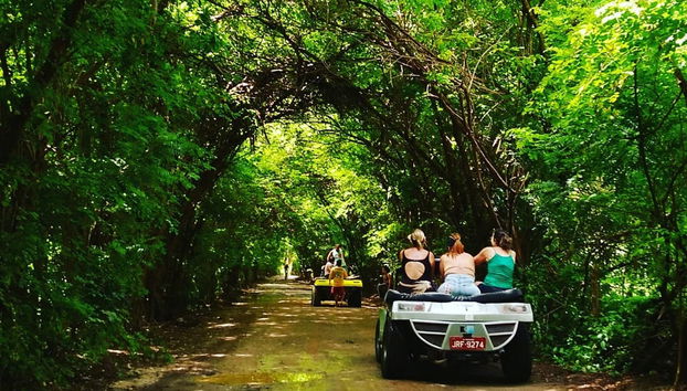 Rota de buggy entre Maragogi e São Miguel dos Milagres - Foto 2
