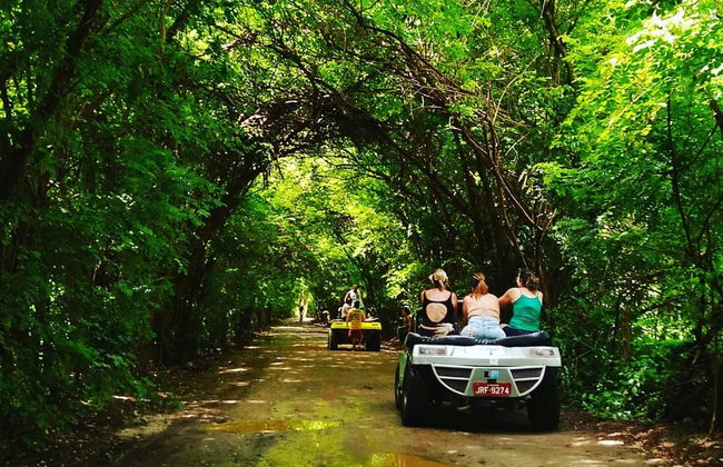 Rota de buggy entre Maragogi e São Miguel dos Milagres - Foto 2
