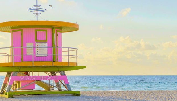 Location de voiture amphibie à Miami - Photo 2