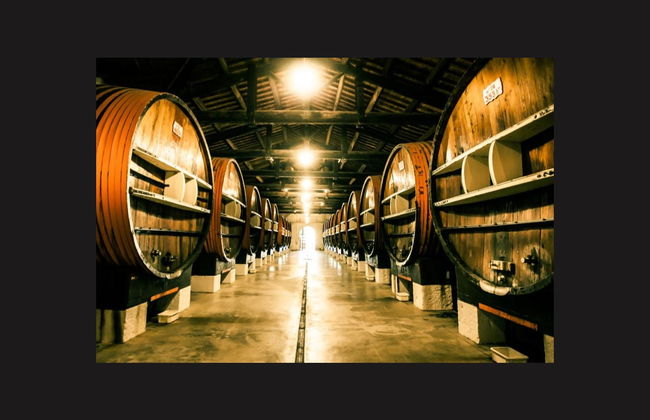Visite de la Maison Noilly Prat - Photo 3