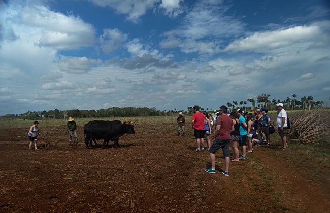Jeep Safari por los alrededores de Yaguajay - Foto 6