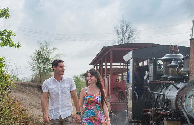 Tobacco, Rum & Sugar Tour - Photo 3