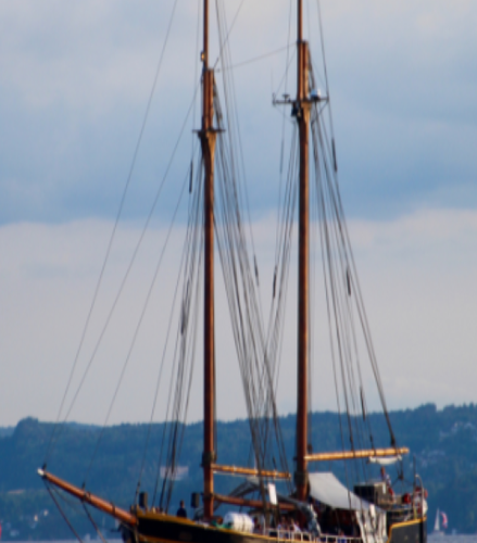 Foto de Fjord Cruise with Live Music