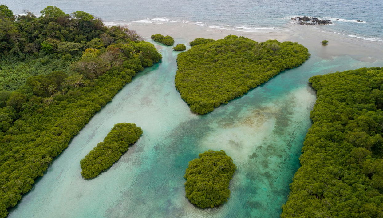 Venas Azules + Playa Blanca Day Trip - Foto 1