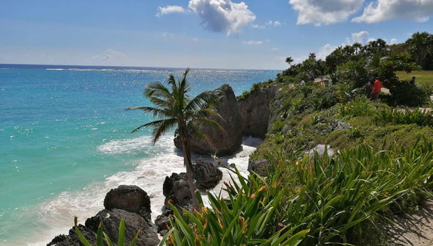 Tulum + Cenote + Come to the Light Sculpture - Foto 2