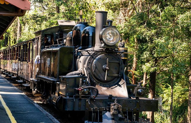 Puffing Billy Railway e Pinguins - Foto 1