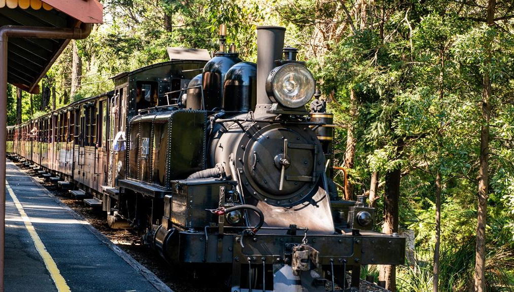 Puffing Billy Railway und Pinguine - Foto 1