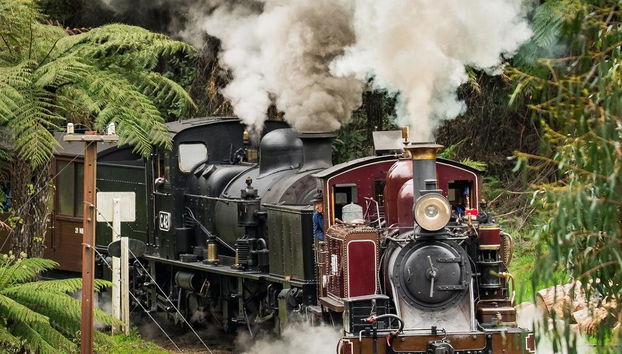 Puffing Billy Railway und Pinguine - Foto 5