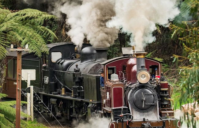 Puffing Billy Railway e Pinguins - Foto 5