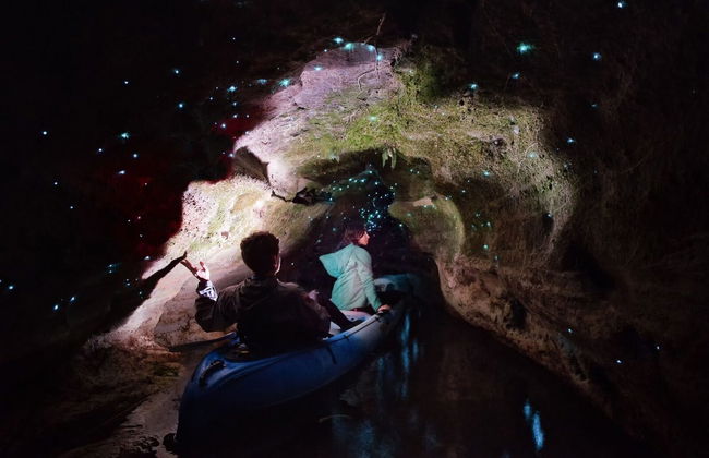 Glowworm Kayaking Tour - Photo 4