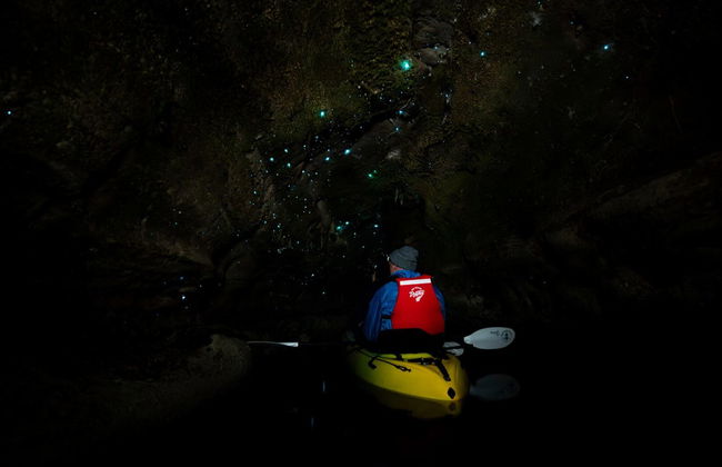 Glowworm Kayaking Tour - Photo 3