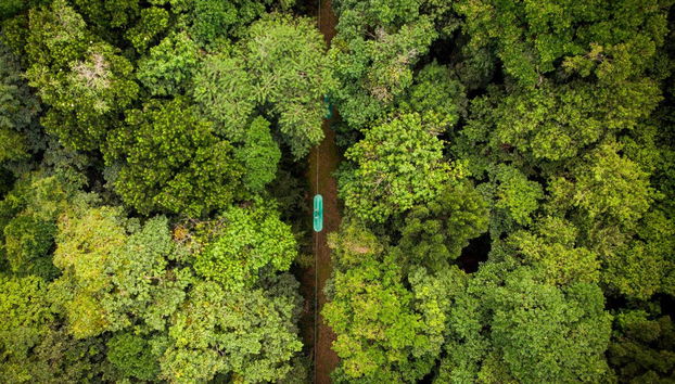 Rainforest Adventures Saint Lucia Ticket - Foto 2