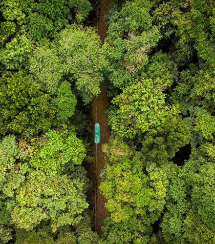 Foto de Entrada al parque de aventura Rainforest Santa Lucía