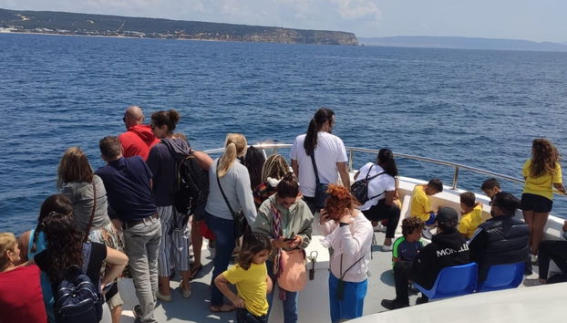 Avistamiento de ballenas y delfines en Barbate - Foto 4