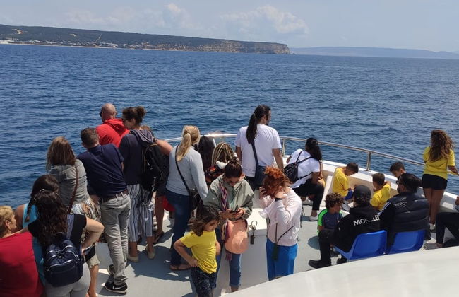 Avistamiento de ballenas y delfines en Barbate - Foto 4