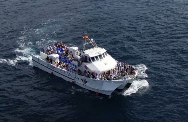 Avistamiento de ballenas y delfines en Barbate - Foto 5