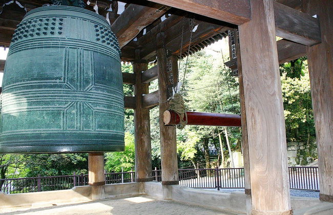 Free tour por Nara - Foto 4