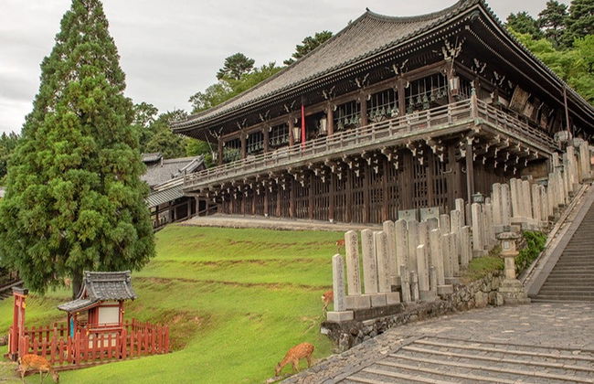 Free tour por Nara - Foto 5
