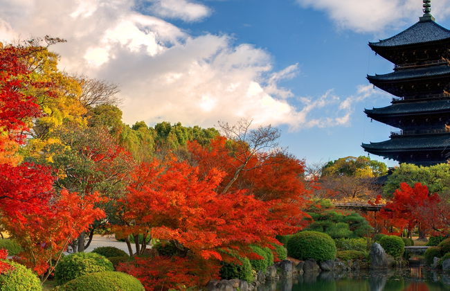 Free tour por Nara - Foto 6