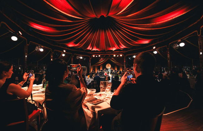 Concierto de Strauss con cena en el Prater - Foto 8
