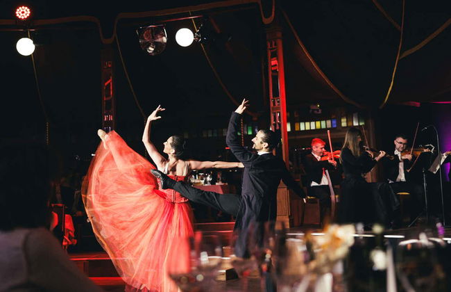 Concierto de Strauss con cena en el Prater - Foto 7