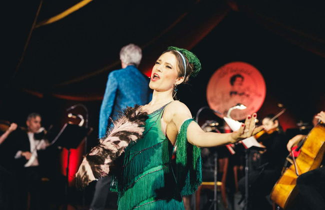 Concierto de Strauss con cena en el Prater - Foto 4