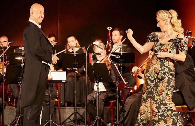 Concierto de Strauss con cena en el Prater - Foto 13