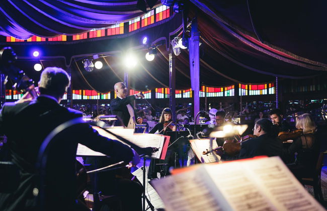 Concierto de Strauss con cena en el Prater - Foto 2
