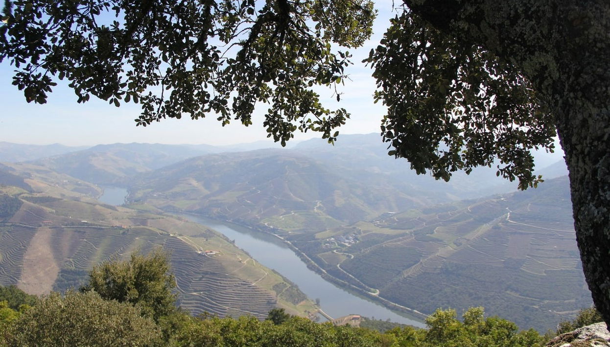 Tour por el valle del Duero con cata de vinos + Paseo en barco - Foto 1