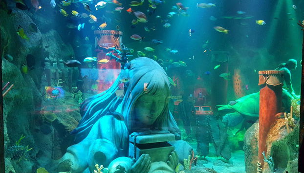 LEGOLAND® Japan Ticket - Photo 4