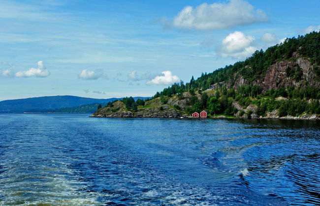 Bergen and Oster Fjords + Mostraumen Canal Cruise - Foto 3