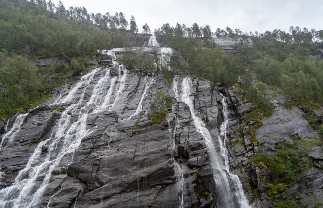 Bergen and Oster Fjords + Mostraumen Canal Cruise - Foto 5