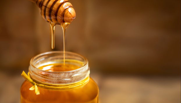 Vista a un'azienda apistica + Degustazione - Foto 5