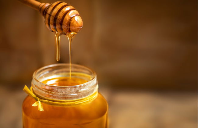 Vista a un'azienda apistica + Degustazione - Foto 5