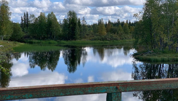 Balade en kayak sur la rivière Torne - Photo 5