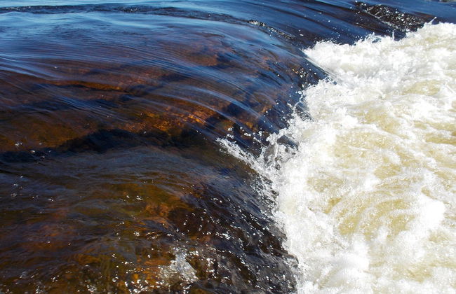 Tour en canoa por el río Torne - Foto 3