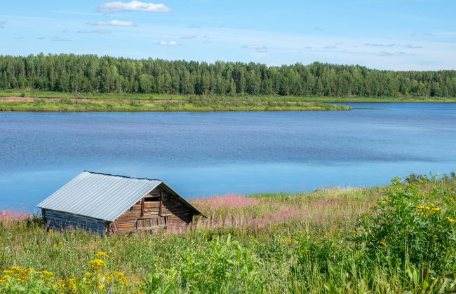 Tour en canoa por el río Torne - Foto 4