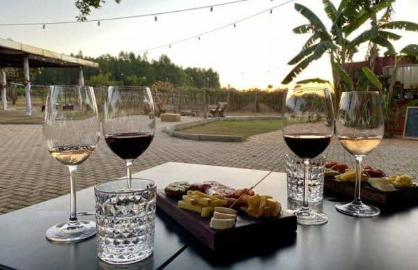 Excursión a los viñedos de la bodega Vinícola Assunção - Foto 4