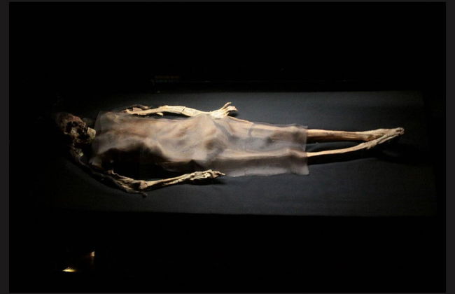 Brujo & Cao Museum Private Tour - Photo 3