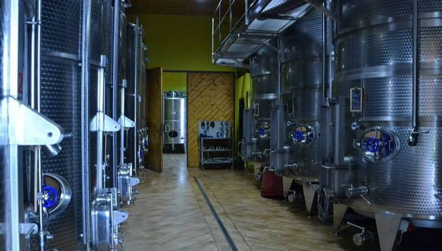 Marchesi de' Cordano Winery Tour - Foto 3