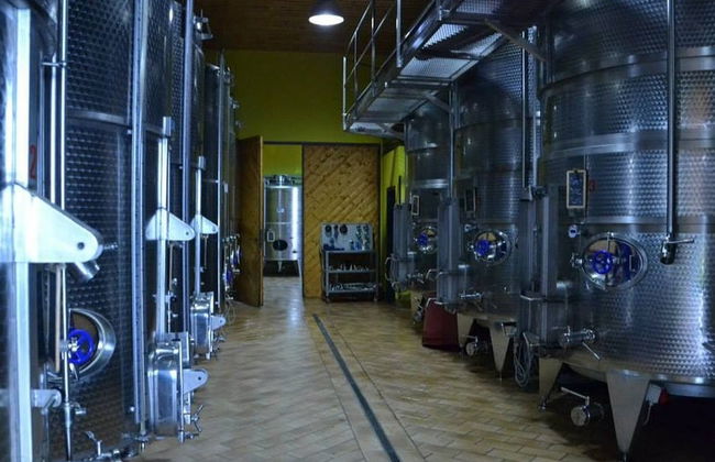 Marchesi de' Cordano Winery Tour - Foto 3