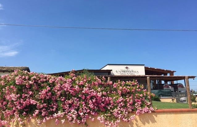 Marchesi de' Cordano Winery Tour - Foto 1