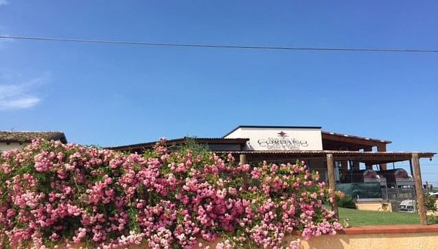 Marchesi de' Cordano Winery Tour - Foto 1