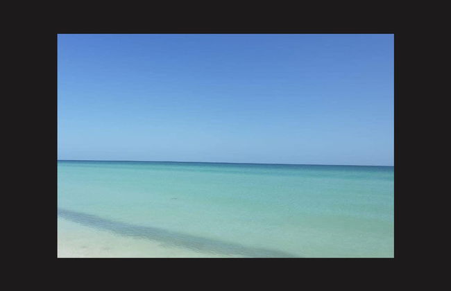 Excursión a Sisal y Celestún - Foto 4