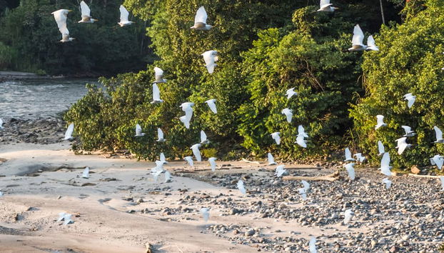 Tour de 2 días por Misahuallí - Foto 4
