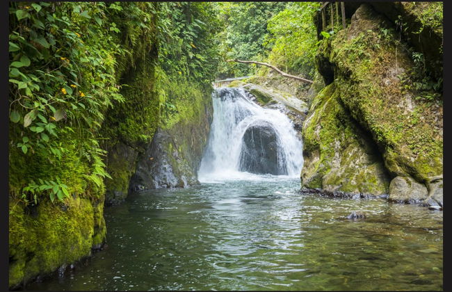 Tour de 2 días por Misahuallí - Foto 1